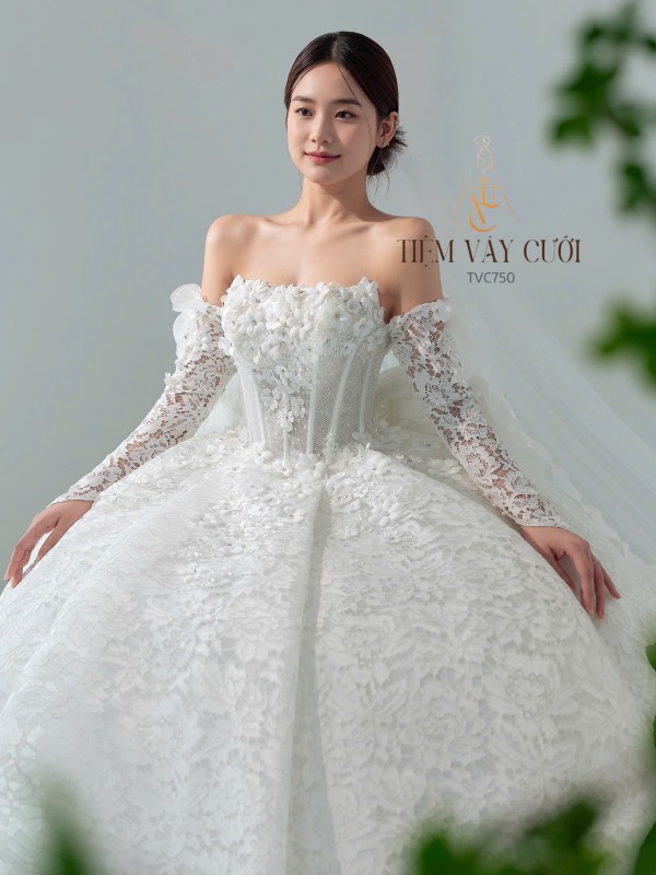 TVC750 tay rời, nơ rời