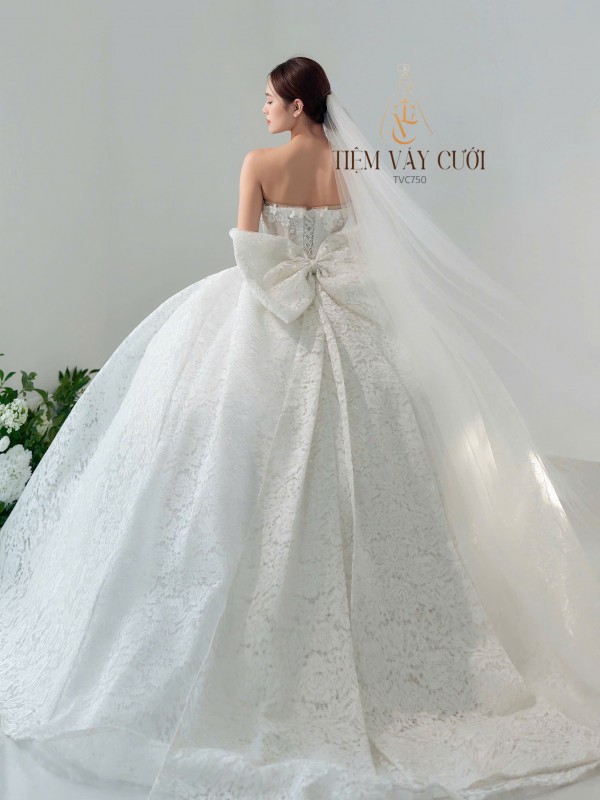 TVC750 tay rời, nơ rời